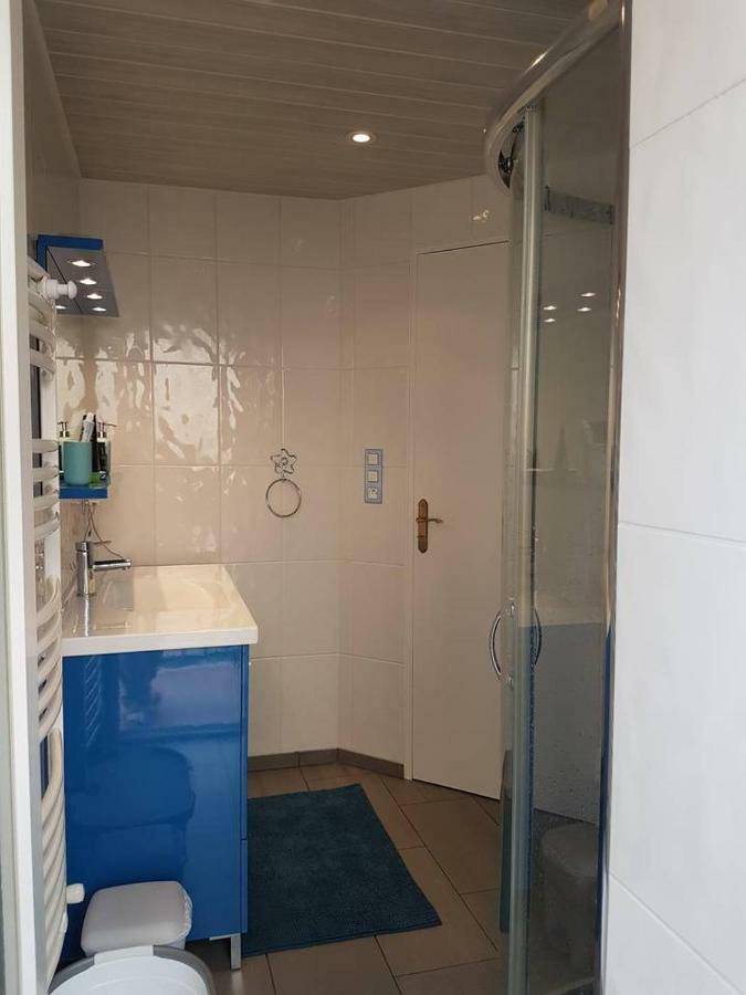 23 Rue Jean Amade Apartment Ceret Exterior photo